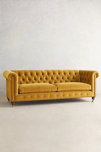 velvet-lyre-chesterfield-sofa-hickory-via-anthropologie